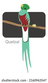 Quetzal-Vogel, der auf einem Ast steht, eine Blume auf dem Kopf, Vektorgrafik