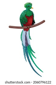 Quetzal sitting on a branch. Quetzal illustration. Hand drawn quetzal bird