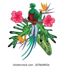 Quetzal sitzt auf einem Ast. Quetzal-Illustration. Handgezeichneter Quetzer