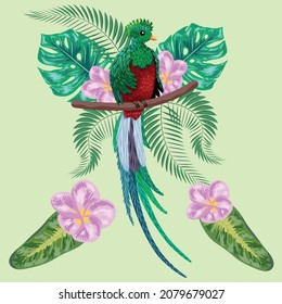 Quetzal sitzt auf einem Ast. Quetzal-Illustration. Handgezeichneter Quetzer