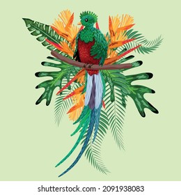 Quetzal sitting on a branch. Quetzal illustration. Hand drawn quetzal bird