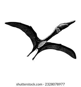 Quetzalcoatlus northropi hand drawing vector isolated on white background.