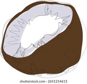 Quick drawing of a broken coconut, exotic fruit