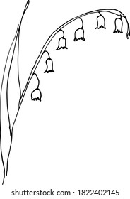 Dibujo rápido a mano de una flor. Para la decoración y la impresión en tela.