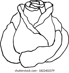 Quick hand drawing of a flower. For decoration and printing on fabric.