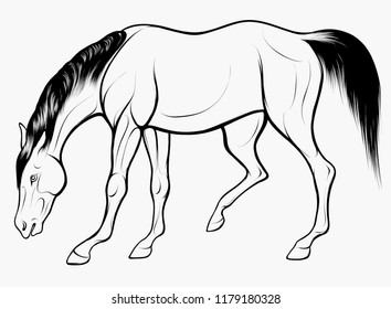 Quick linear sketch of monochromatic horse grazes at large. Domestic stallion lowered its head and eats food. Vector clip art and design element for equestrian farms. Emblem of an agricultural animal.