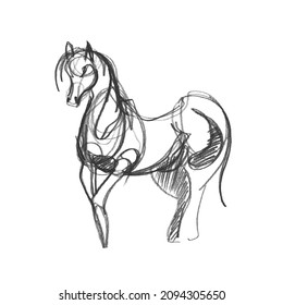 2,288 Horse pencil sketch Stock Vectors, Images & Vector Art | Shutterstock