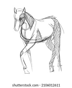 A quick pencil sketch of a half-turn horse on white paper. Fine freehand gesture drawing in minimalistic style. Modern monochrome creative vector artistic background. Sloppy hand-drawn black and white