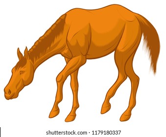 Quick sketch of light brown horse grazes at large. Domestic stallion lowered its head and eats food. Vector clip art and design element for equestrian farms. Colored emblem of an agricultural animal.