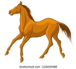 Quick sketch of red horse with brown mane, galloping free. Vector clip art and design element for equestrian farms. Emblem of an agricultural animal.