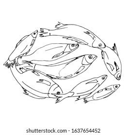 A quick sketch of a river fish lying in a circle. Fisherman's catch, drawn by hand, outline. The theme of sports fishing, sketching with a black line.