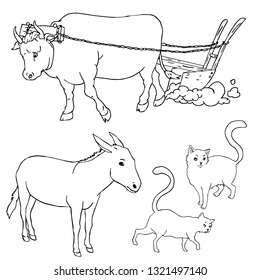 Quick sketches of domestic animals