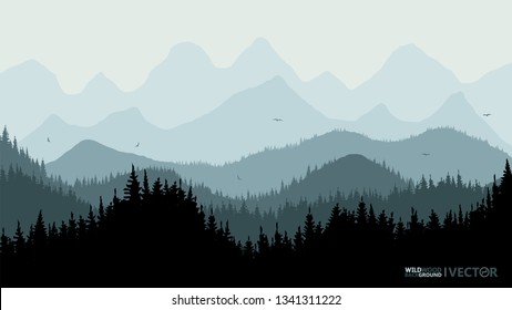 Quiet background. Fir forest, on the horizon of the mountain. Turquoise tone. Sunset. Recreation. Birds fly.