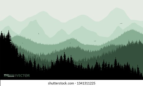 Quiet background. Fir forest, on the horizon of the mountain. Green tone. Sunset. Recreation. Birds fly.