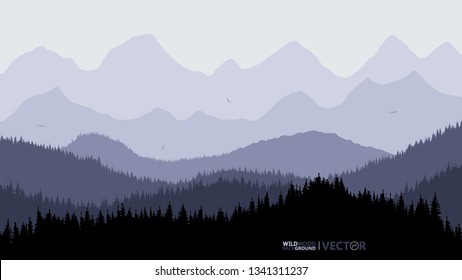 Quiet background. Fir forest, on the horizon of the mountain. Blue tone. Sunset. Recreation. Birds fly.