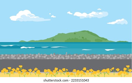 A quiet seaside road with canola flowers. An island can be seen in the distance.