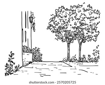 quiet street corner with trees and lamp hand-drawn illustration