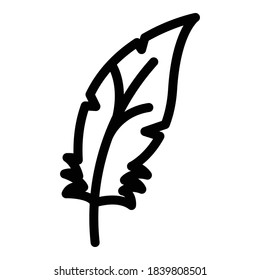 Quill feather icon. Outline quill feather vector icon for web design isolated on white background