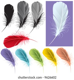 Quill (feather) illustration set in different colors