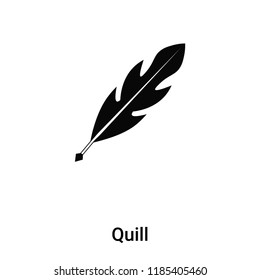 Quill icon vector isolated on white background, logo concept of Quill sign on transparent background, filled black symbol