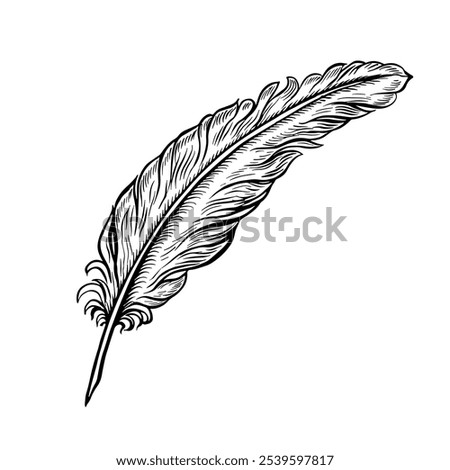 A quill pen for the manuscript. Vector black and white hand-drawn graphics on a white background. An element of the design of invitations, greeting cards, and postcards. For posters, posters, and more