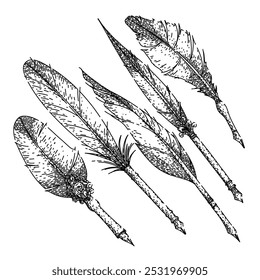 caneta quill set mão desenhada. caligrafia mergulho, pergaminho rolar, manuscrito antigo quill caneta esboço vetor. ilustração preta isolada