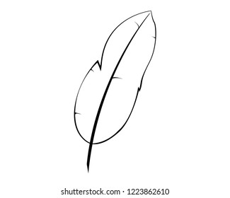 Quill Vector Line Art Style Stock Vector (royalty Free) 1223862610 