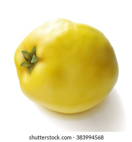 Quince apple yellow fruit realistic vector illustration. Good for packaging design.