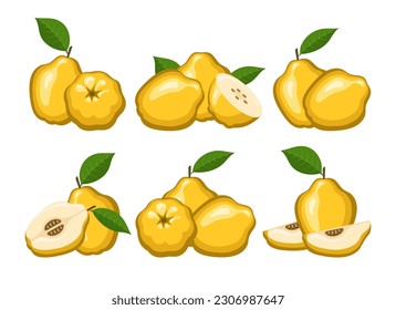 La caricatura de Quince aislada. Manzanas chinas amarillas con hojas verdes colocan la ilustración de color vectorial, la mitad entera y rodajas de frutos para el embalaje promocional