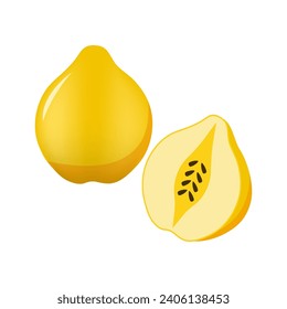 quince cartoon vector alphabet Q fruit