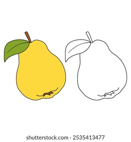 Quince coloring pages for kids. Trace and color Quince. Quince line art vector for coloring books isolated on white background. Kindergarten and preschool worksheets printable for kids. 