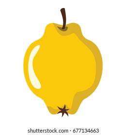 Quince design juicy fresh fruit icon vector template. Raw quince