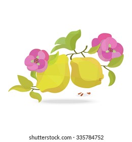 Quince and flower