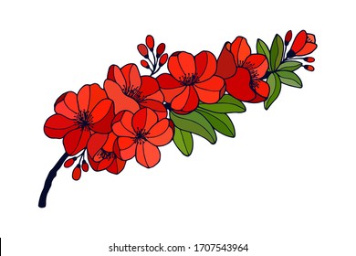 quince flowering branch. Vector stock illustration eps 10. hand drawing.