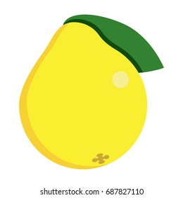 Quince fresh juicy exotic fruit icon, vector illustration flat style design isolated on white. Colorful graphics