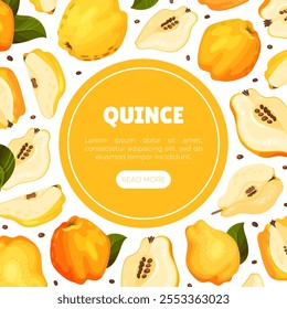 Quince Fruit Banner Design with Ripe Crop Vector Template