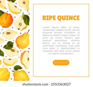 Quince Fruit Banner Design with Ripe Crop Vector Template