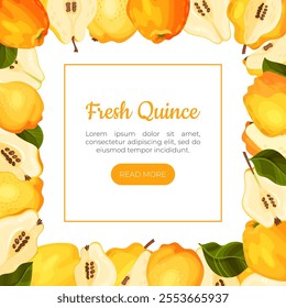 Quince Fruit Banner Design with Ripe Crop Vector Template