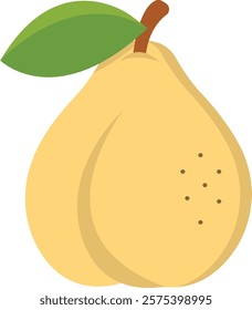 Quince Fruit Cartoon Illustration Design