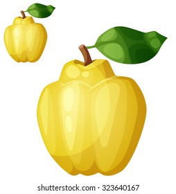 Quince fruit. Cartoon vector icon isolated on white background. Series of food and drink and ingredients for cooking.