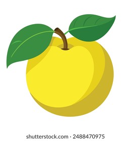 Quince fruit flat vector illustration on white background