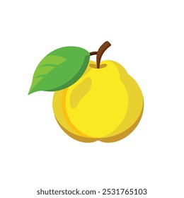 
Quince fruit flat vector illustration on white background