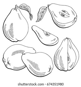 Quince fruit graphic black white isolated sketch illustration vector