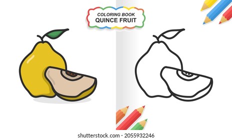 Quince fruit hand drawn coloring book for learning. Flat color ready to print