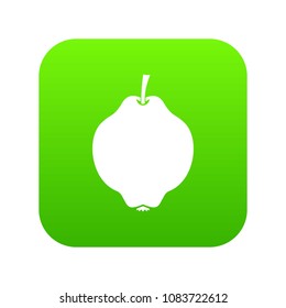 Quince fruit icon digital green for any design isolated on white vector illustration