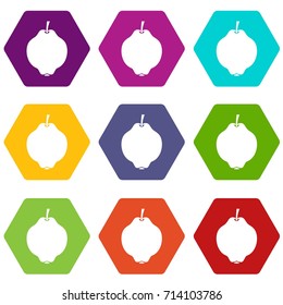 Quince fruit icon set many color hexahedron isolated on white vector illustration
