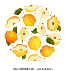 Quince Fruit Round Composition with Ripe Crop Vector Template