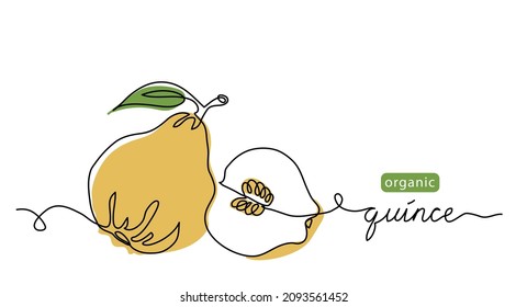 Quince fruit vector color illustration, background, sketch for paste, jam label design. One continuous line art drawing with Quince lettering.