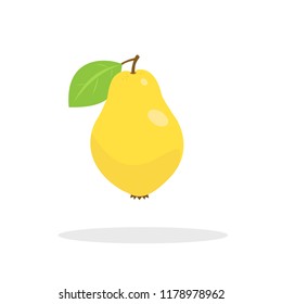 quince fruit vector illustration