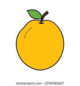 Quince Fruit Vector Illustration – Fresh Yellow Quince 